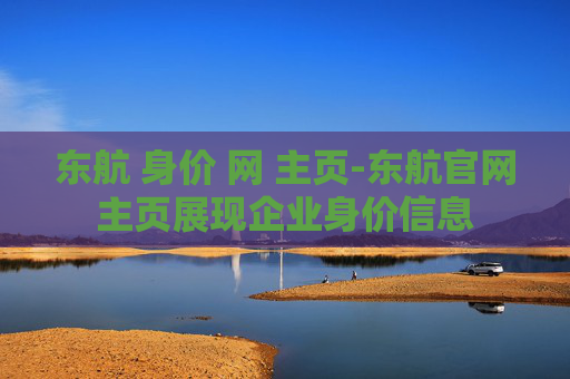 东航 身价 网 主页-东航官网主页展现企业身价信息